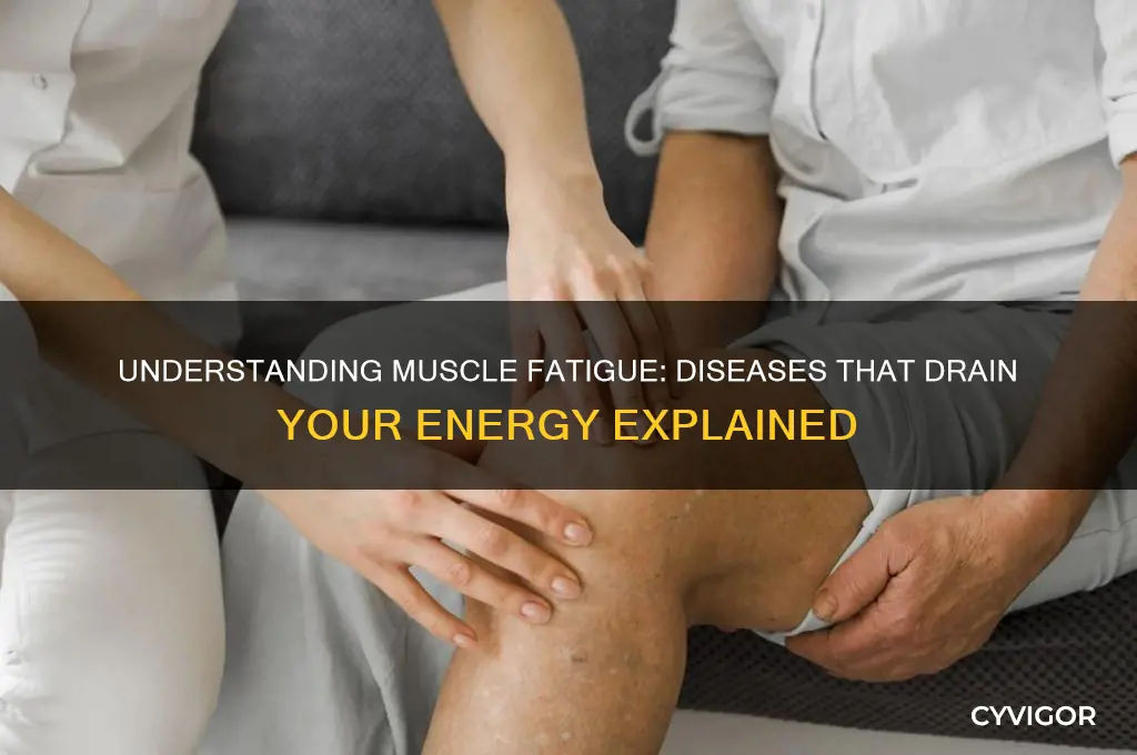 what disease causes muscle fatigue
