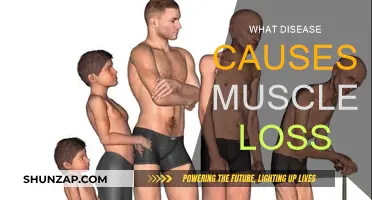 Muscle Loss: Uncovering the Diseases Behind It