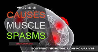 Muscle Spasms: Uncovering the Underlying Diseases and Disorders