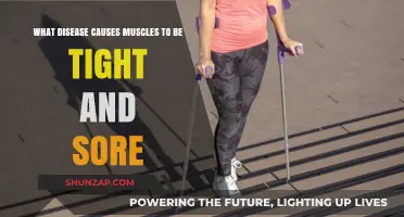 Understanding Muscle Stiffness: Diseases Causing Tight, Sore Muscles Explained