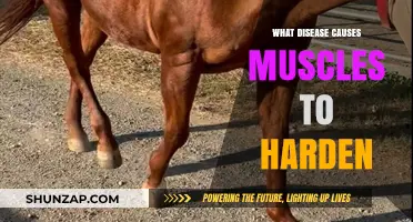 Understanding Myositis: The Disease Behind Muscle Hardening and Stiffness