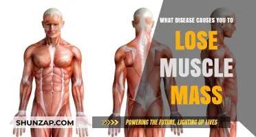 Muscle Wasting Diseases: Understanding Causes of Rapid Muscle Loss