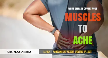 Understanding Chronic Muscle Pain: Diseases That Cause Persistent Aches Explained