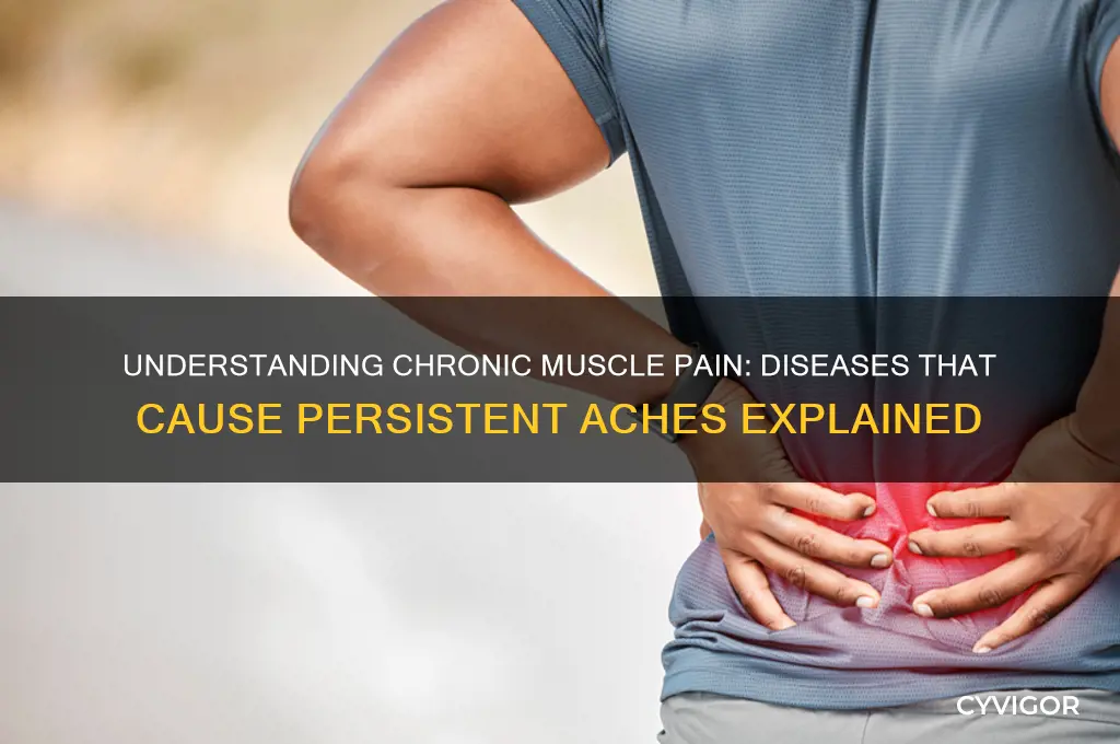 what disease causes your muscles to ache