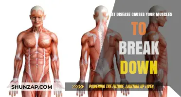 Muscle-Wasting Mystery: Uncovering Diseases That Cause Muscle Breakdown
