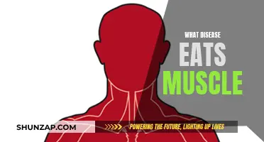 Muscle-Eating Diseases: Understanding the Threat