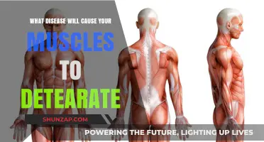 Muscle Wasting Diseases: Understanding Conditions That Cause Muscle Deterioration