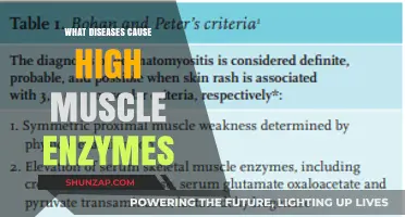 High Muscle Enzymes: Diseases That Could Be the Culprit
