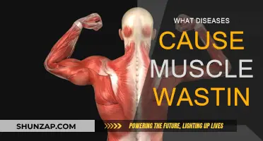 Muscle Wasting: Diseases and Disorders that Cause Atrophy
