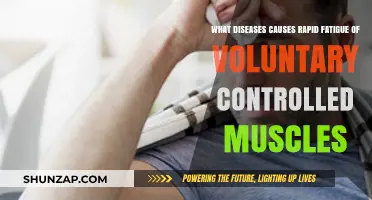 Rapid Muscle Fatigue: Diseases Affecting Voluntary Muscle Control Explained