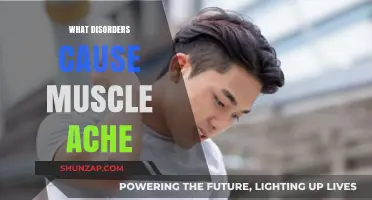 Unraveling Muscle Ache: Disorders Behind Persistent Pain Explained