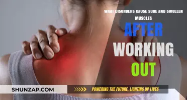 Understanding Muscle Pain: Disorders Linked to Post-Workout Soreness and Swelling