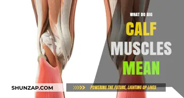 Unveiling the Secrets: What Do Big Calf Muscles Really Mean?