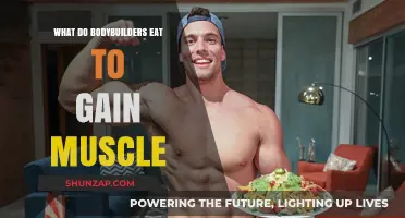 Muscle-Building Nutrition: What Bodybuilders Eat to Gain Mass