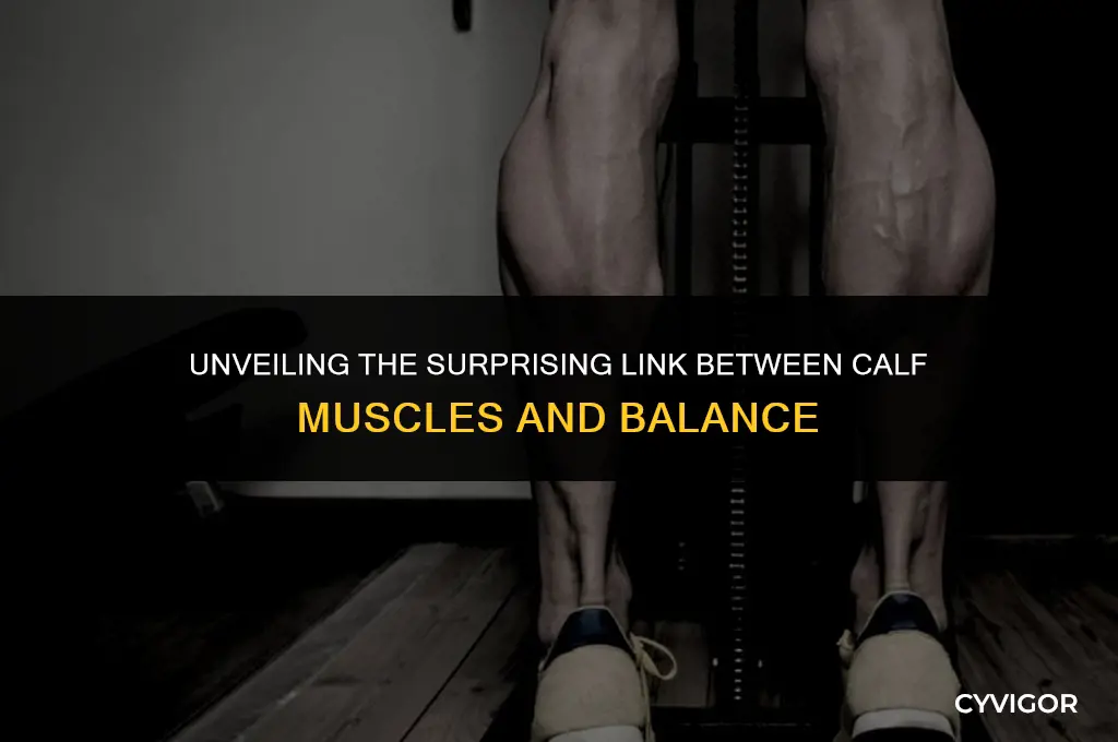 what do calf muscles have to do with balance
