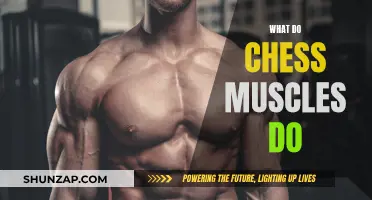 How Chess Muscles Make You a Better Player