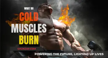 Cold Muscle Burn: Energy Depletion and Fatigue