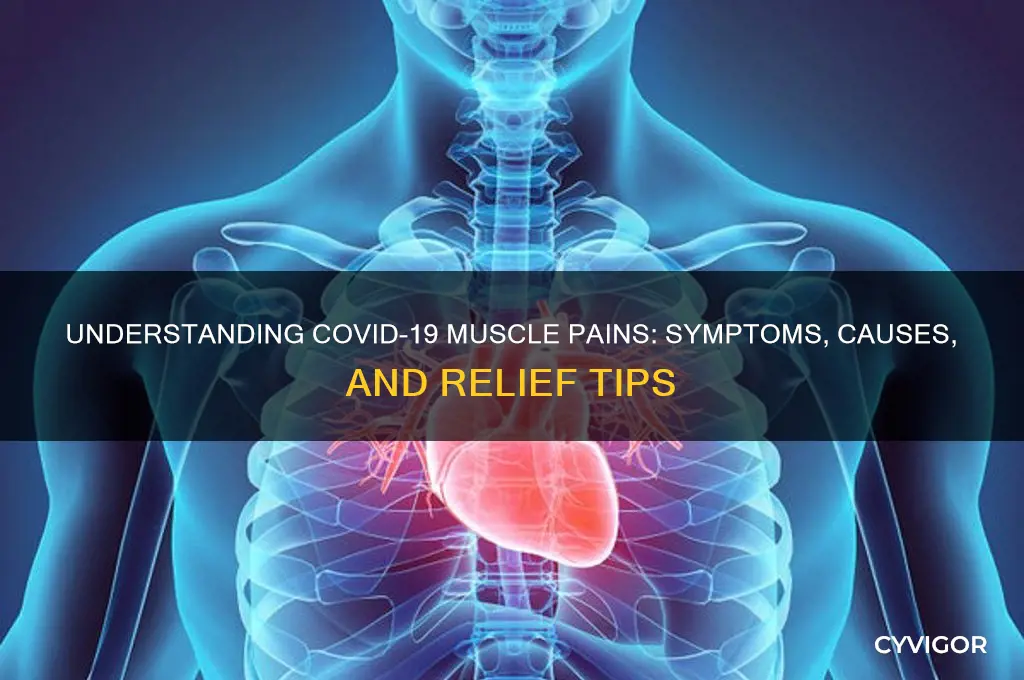 what do covid muscle pains feel like