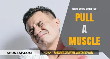 Pulled Muscle? Quick Relief and Recovery Tips to Heal Fast
