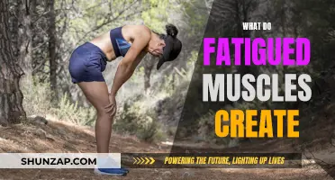 Muscle Fatigue: The Lactic Acid Effect