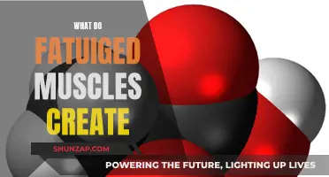 How Fatigued Muscles Create Lactic Acid