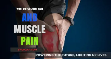 Effective Remedies for Joint Pain and Muscle Pain Relief