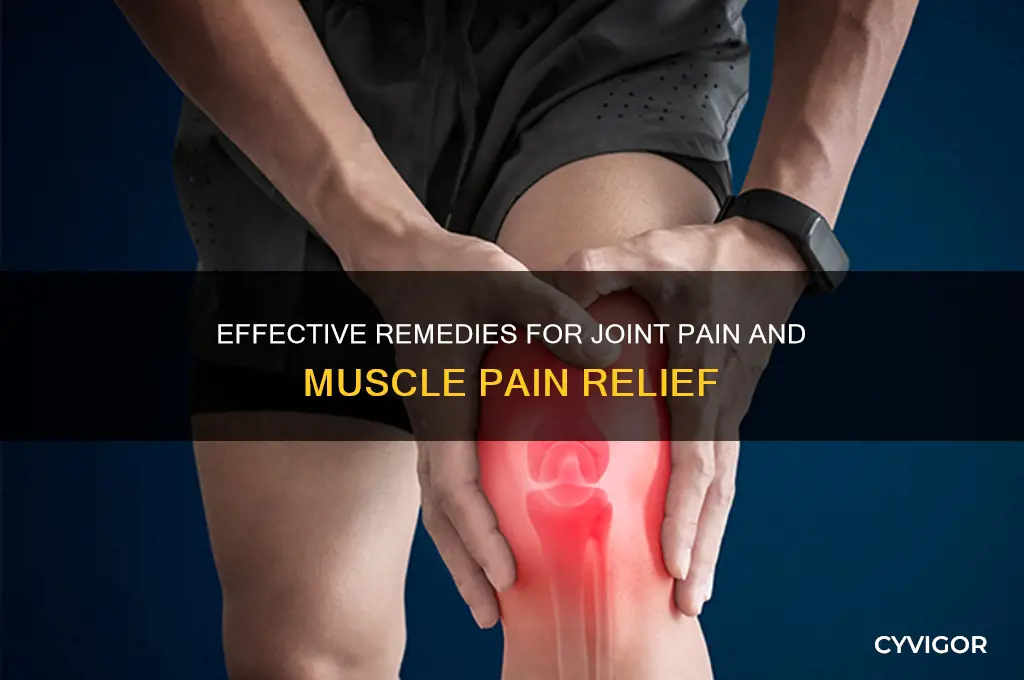 what do for joint pain and muscle pain