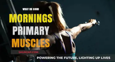 Energize Your Day: Unlocking the Power of Morning Primary Muscles