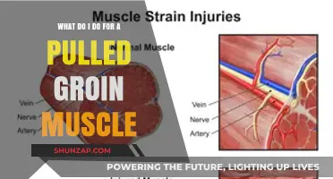 Pulled Groin Muscle: Effective Recovery Tips and Treatment Strategies