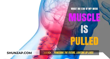 Pulled Neck Muscle: Quick Relief and Recovery Tips for Pain