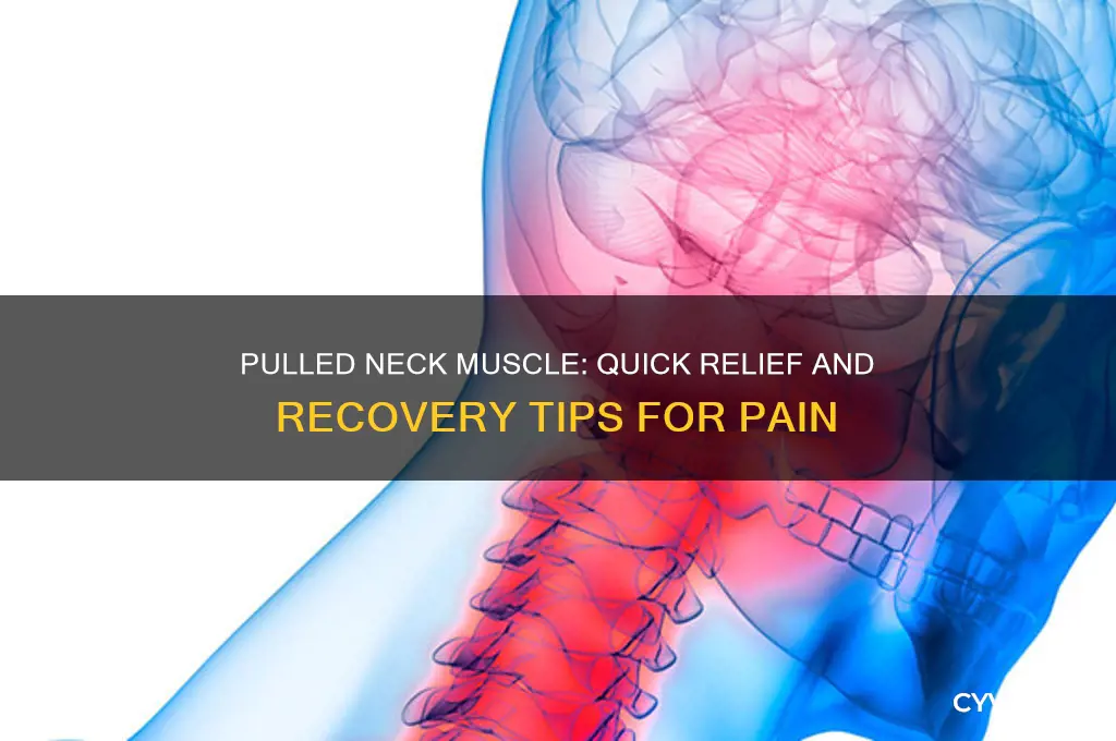 what do i do if my neck muscle is pulled