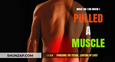 Pulled Muscle? Effective Steps for Quick Recovery and Relief