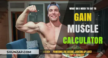 Calculate Your Muscle-Building Diet: Essential Foods for Optimal Growth