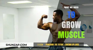 Essential Steps to Build Muscle: Nutrition, Training, and Recovery Tips