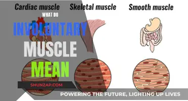 Involuntary Muscles: What Do They Mean for Your Body?