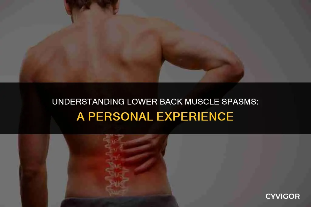 what do lower back muscle spasms feel like