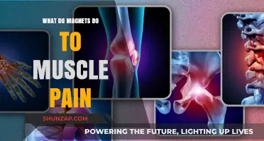 Magnetic Therapy: Easing Muscle Pain with Natural Healing Powers