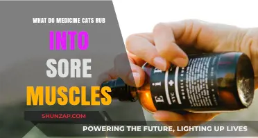 Natural Remedies: What Medicine Cats Apply to Soothe Sore Muscles
