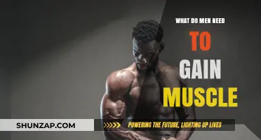Essential Muscle-Building Strategies: What Men Need for Optimal Growth
