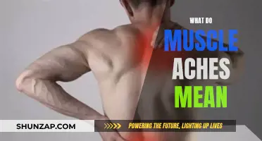 Understanding Muscle Aches: What Your Body is Telling You