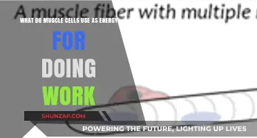 Muscle Cells' Energy Source: Unlocking the Power Behind Movement