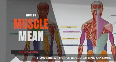 Muscle Meaning: Understanding the Power of Muscles