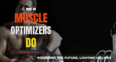 Muscle Optimizers: Enhancing Performance and Recovery