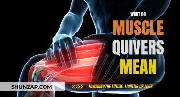 Muscle Quivers: What Your Body is Trying to Tell You