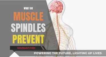 Preventing Muscle Spindles From Causing Unwanted Movement