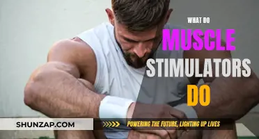 Muscle Stimulators: How Do They Work and Benefits?