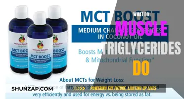 Triglycerides' Role in Muscle Function and Performance