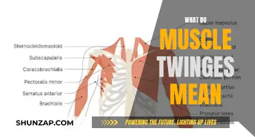 Understanding Muscle Twitches: What Your Body Is Telling You