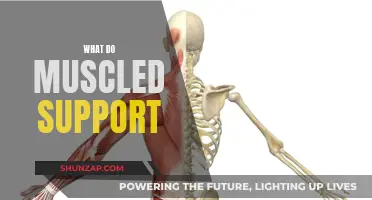 Muscles Support Your Every Move: Here's How