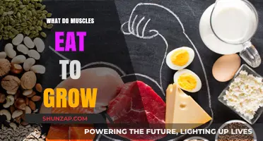 Fuel for Growth: Essential Nutrients to Build Stronger Muscles